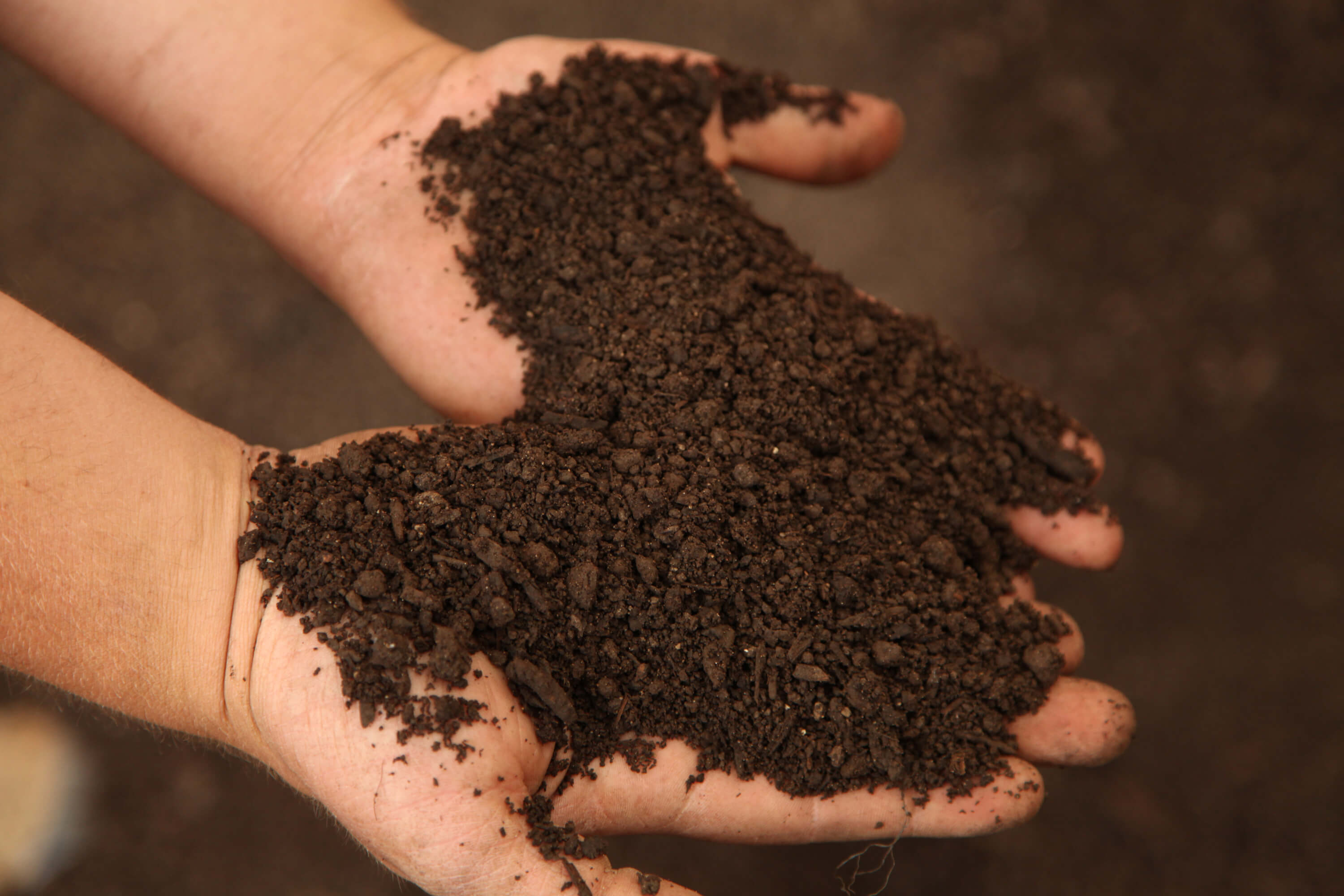 ploughmans compost sifting through hands