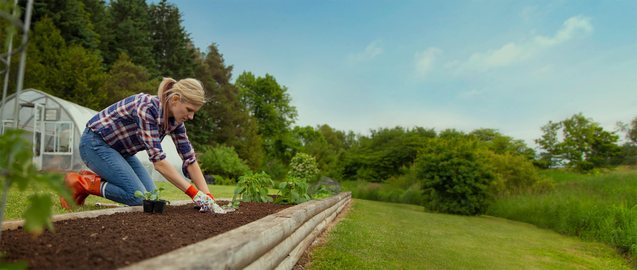 gardener using ploughman's choice compost